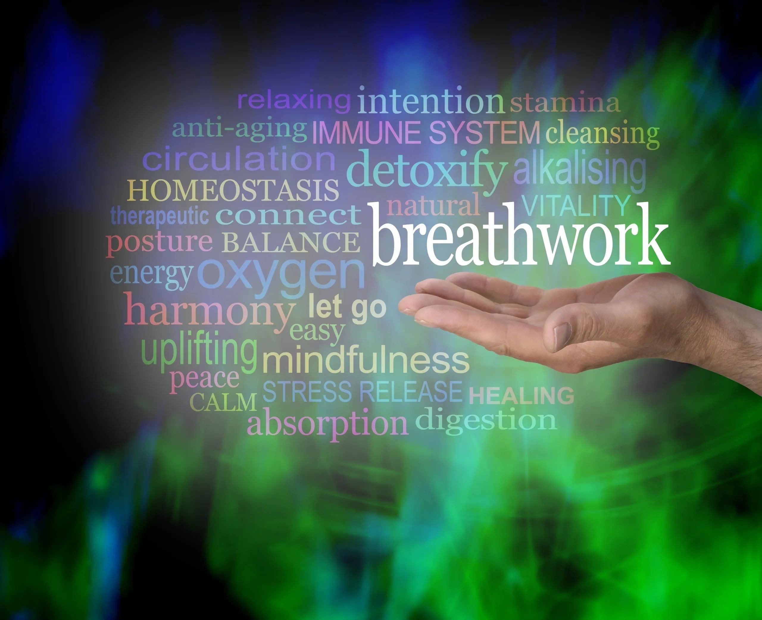 Breathwork diagram illustrating the connection between breath, nervous system and body